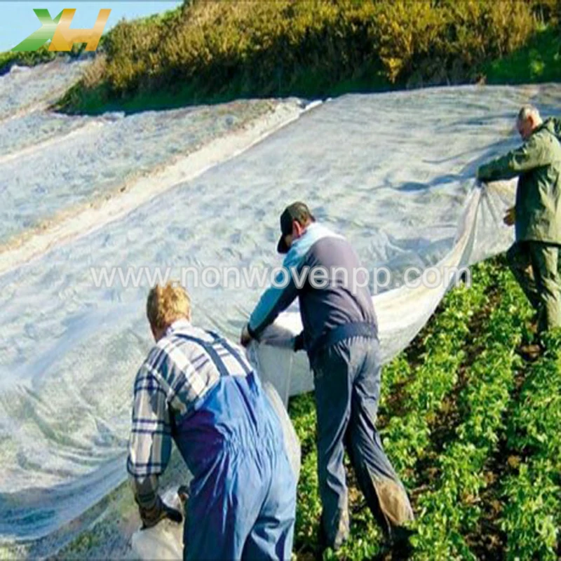 non woven spunbond fabric
